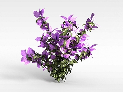 现代佛龛 植物花株