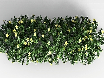 现代佛龛 植物花草