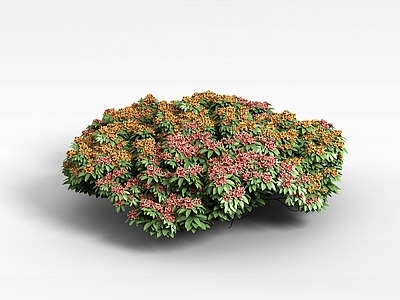 现代佛龛 植物花草绿植