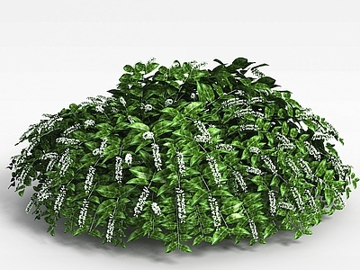 现代佛龛 植物绿植