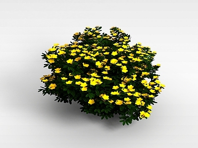现代佛龛 植物花草