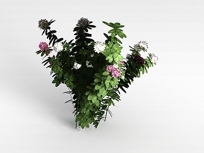 现代佛龛 植物花株