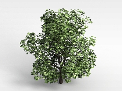 现代办公桌 户外景观植物