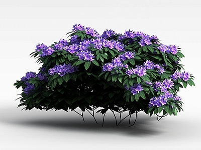 现代佛龛 紫色花簇
