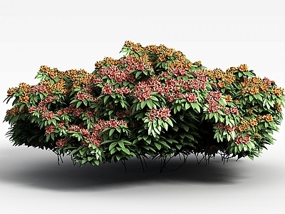 现代佛龛 植物花草绿植