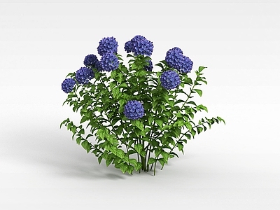现代佛龛 植物花草绿植
