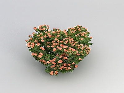 现代佛龛 植物花草绿植