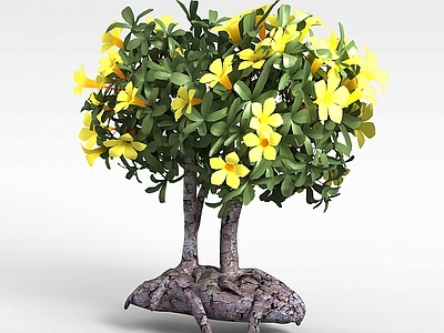 现代办公桌 植物景观花树