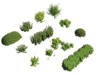 植物堆 灌木 景观植物
