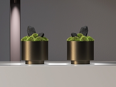 盆栽 现代苔藓摆件 绿植摆件 金属摆件