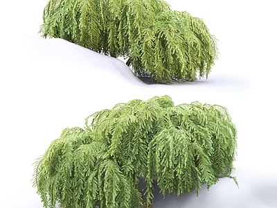 灌木 绿植球 绿植堆 植物堆 花坛绿植 庭院绿植