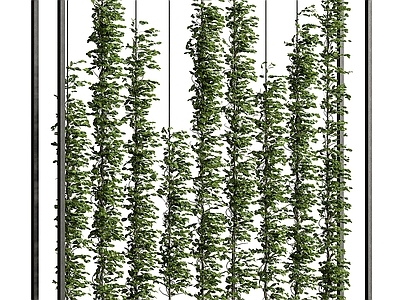 绿植墙 植物墙 绿植墙