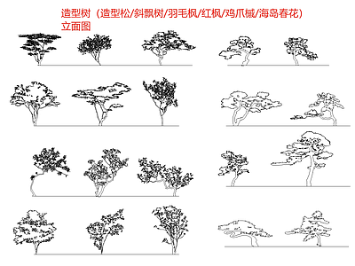 新中式中式树 造型树 造型松 红枫 植物立面图 中式植物 施工图