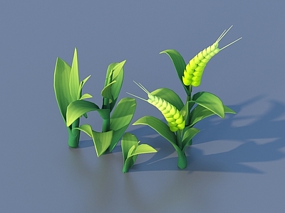 灌木 卡通 植物 灌木