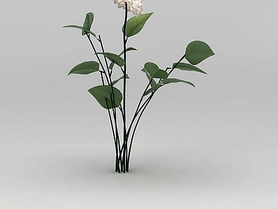 现代佛龛 植物花草绿植