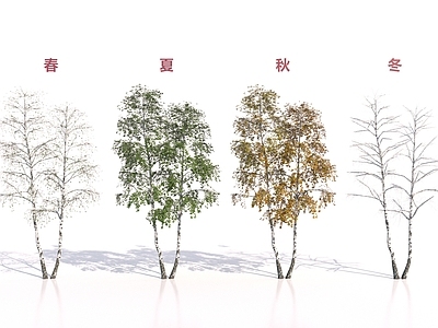 其他树木 树木 司机轮转
