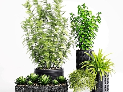现代佛龛 办公室绿植盆栽