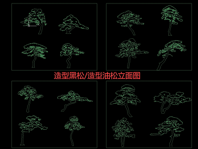 新中式中式综合植物图库 造型松立面图 造型黑松 造型油松 新中式景观树 中式造型树 施工图