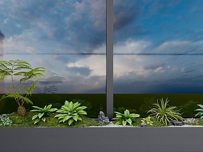 植物组合 花箱植物造景