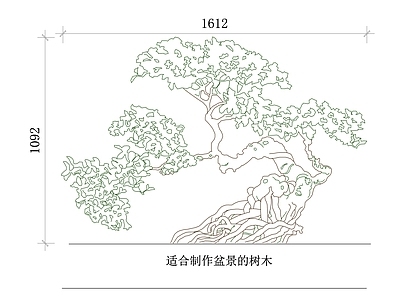 现代综合植物图库 别墅庭院盆栽 院落景观盆景 别墅绿化盆景 庭院装饰盆栽 私家院落盆景 施工图