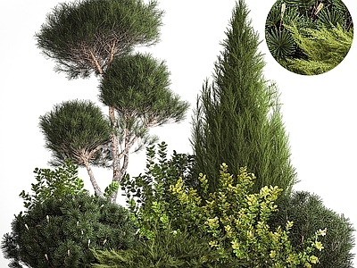 植物堆 植物堆 庭院绿植景观