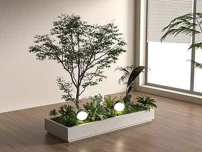 植物组合