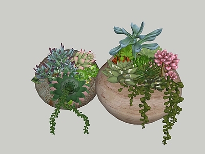 现代庭院小品 多肉植物 陶罐多肉植物组合 陶罐 景观多肉植物