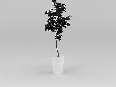 现代办公桌 花盆树
