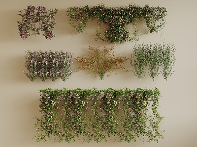 藤蔓 藤蔓 爬藤 爬山虎 墙花草 绿植墙