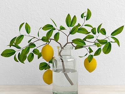 现代佛龛 柠檬植物