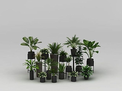 现代佛龛 植物盆栽组合