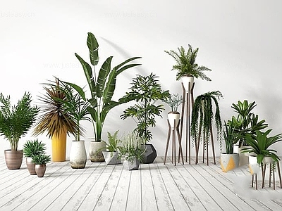 现代佛龛 庭院植物盆栽