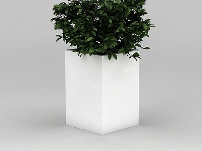 现代佛龛 室内绿植盆景