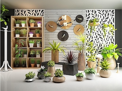 现代佛龛 绿植盆栽实木花架组合