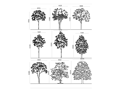 现代综合植物图库 树种大全 多样化乔木 各类绿化树木 观赏树木系列 园林树种选集 施工图