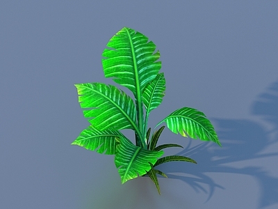 灌木 卡通 植物 灌木