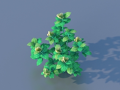 灌木 卡通 植物 灌木
