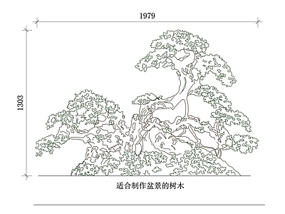 现代综合植物图库 老树盆栽 古木盆景 历史树木盆栽 传统盆景 老桩盆景 施工图