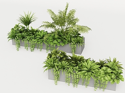植物堆 植物堆 绿植组合