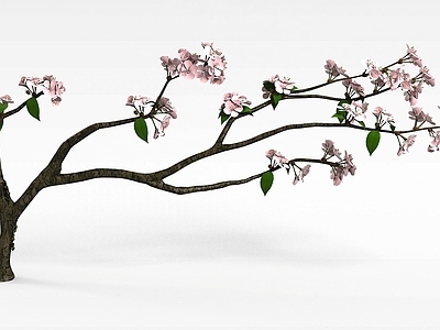 现代办公桌 樱花树枝