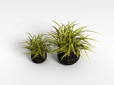 现代佛龛 植物盆栽