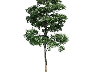现代办公桌 园林景观乔木