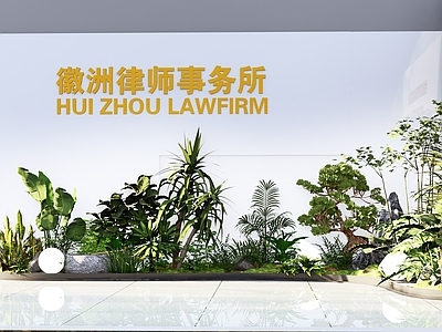 植物组合 室内绿植 室内植物组团 微景观绿植 室内植物 室内盆栽