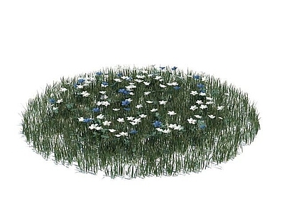 现代佛龛 花草