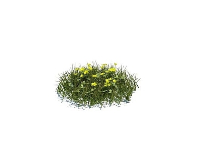 现代佛龛 花草