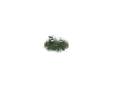 现代佛龛 公园花草