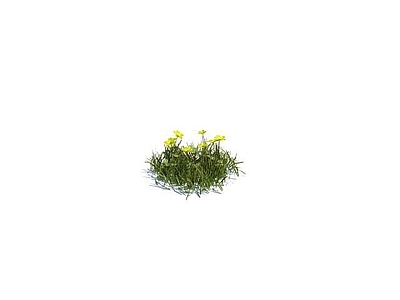 现代佛龛 花草