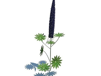 现代佛龛 鲁冰花