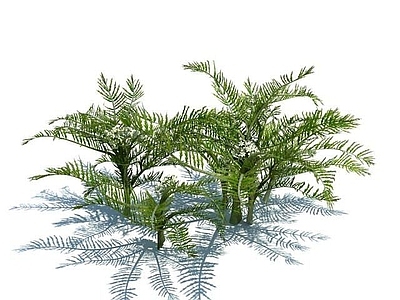 现代佛龛 植物花草
