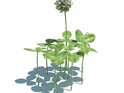 现代佛龛 花圃花草